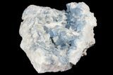 Blue, Cubic Fluorite Crystal Cluster - New Mexico #100982-2